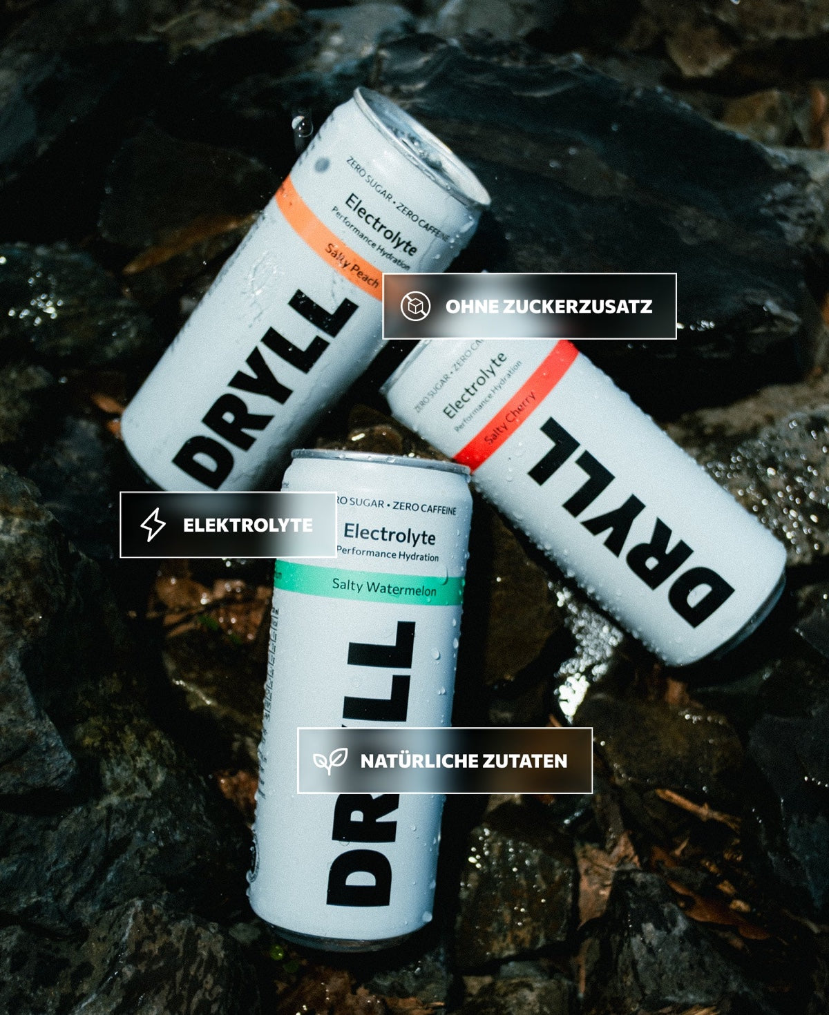 DRYLL Dosen — Salty Peach, Salty Watermelon, Salty Cherry