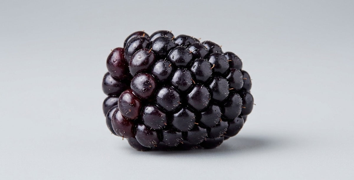 DRYLL Salty Blackberry Brombeere